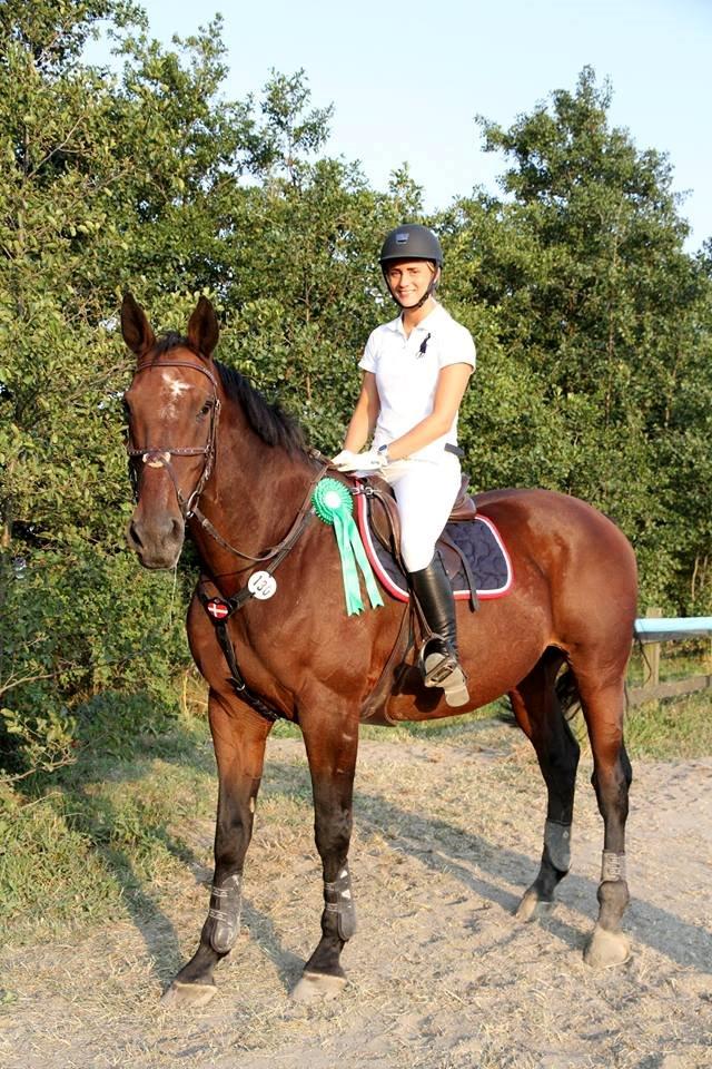 Dansk Varmblod FIGHTER - Verdens bedste billede 5