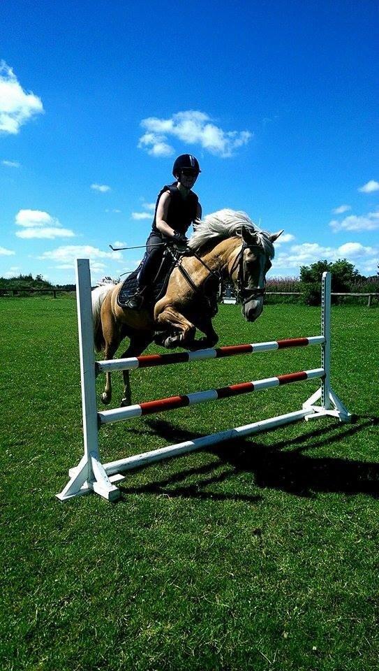 Anden særlig race Fenja billede 16