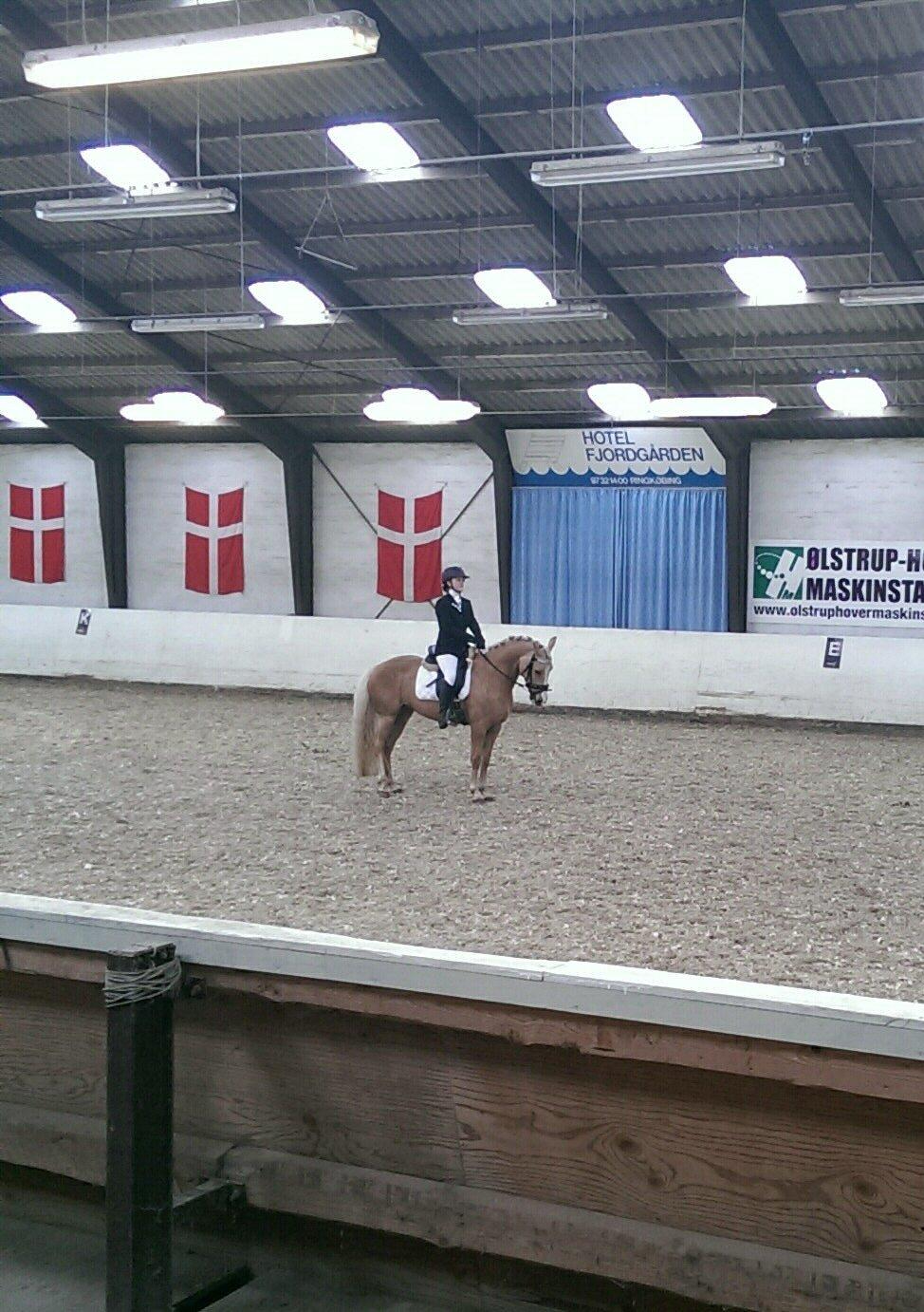 Anden særlig race Fenja billede 18