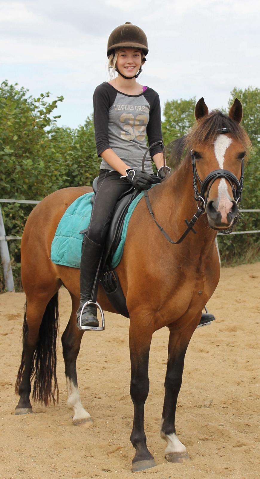 New Forest Odbjergs Elstar billede 37