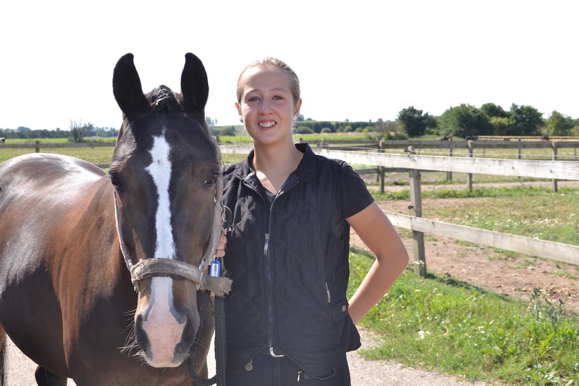 Tysk Sportspony Aquador • B-PONY • - 6/8-14 Min elskede stjerne har nu fået fred <3 billede 1