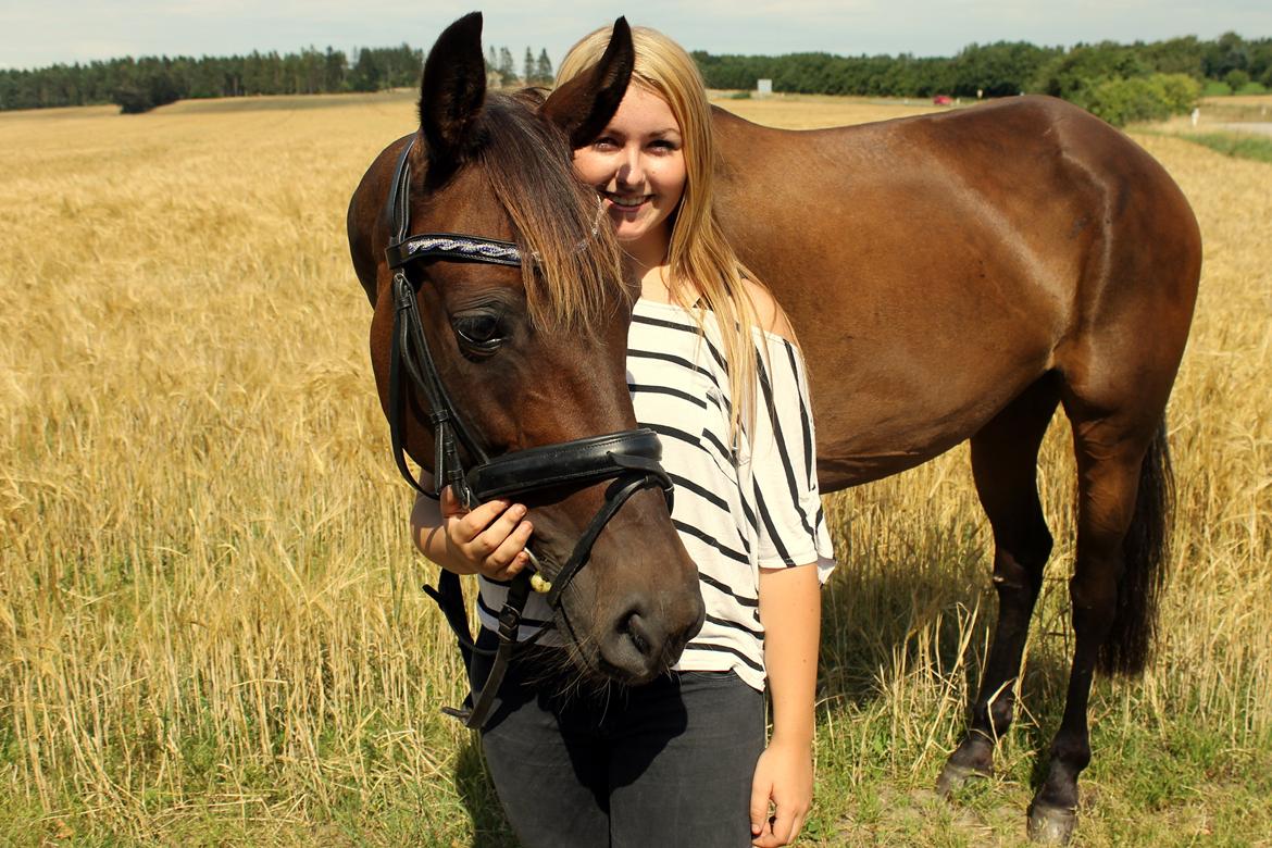 Traver Juvel Møllegaard [HIMMELHEST] - altid med, aldrig uden! billede 18