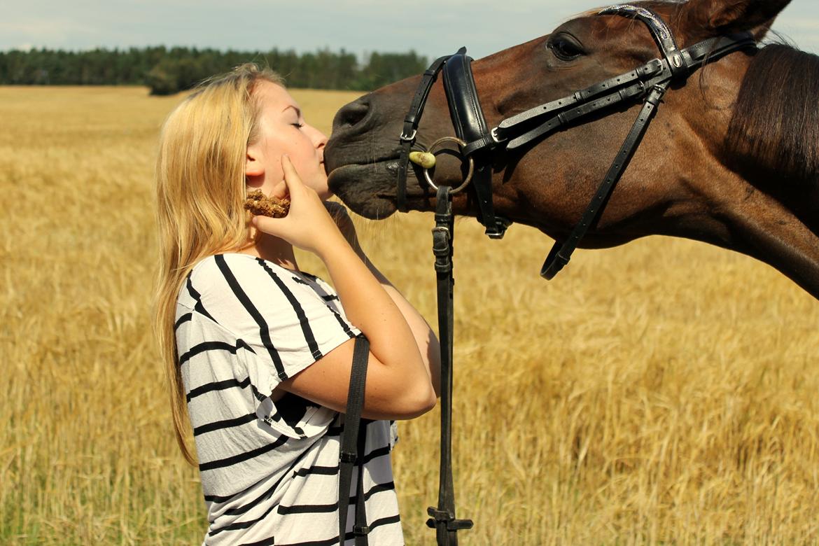 Traver Juvel Møllegaard [HIMMELHEST] - Just give me a kiss<3 :-* billede 28