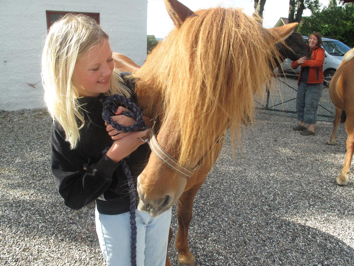 Islænder Kiarval billede 6