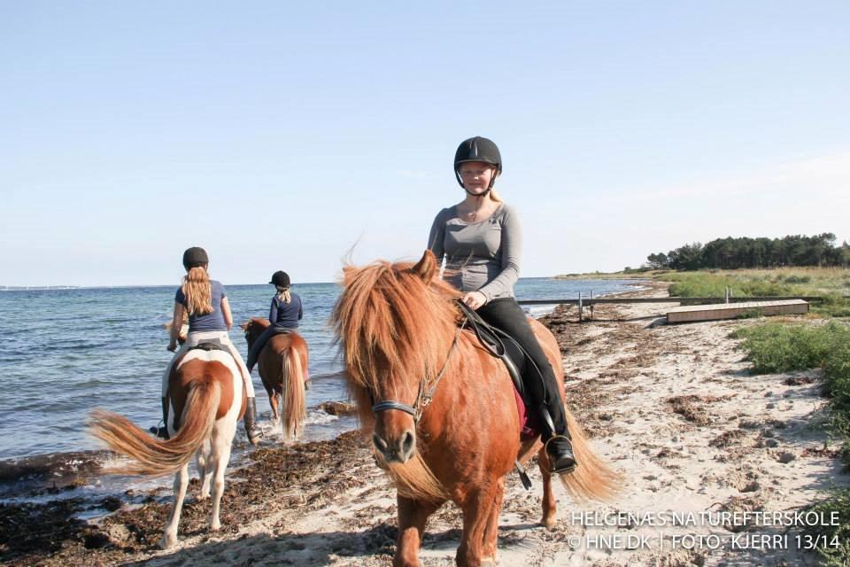 Islænder Kiarval billede 4