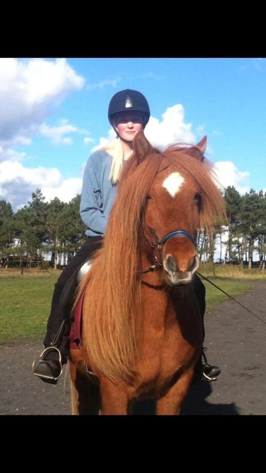 Islænder Kiarval billede 8