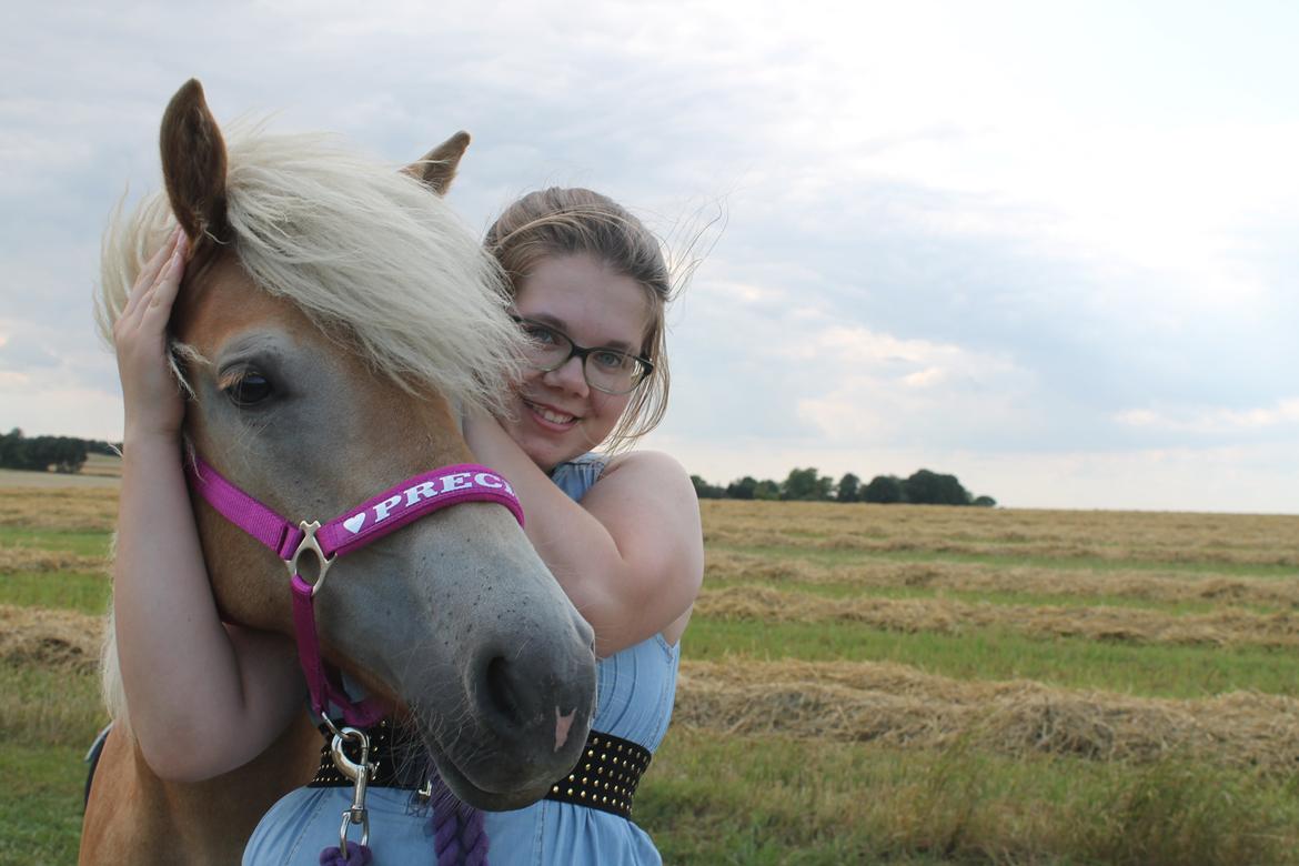 Haflinger Wendy - Besøg af katrine sommerferie 2014 billede 6