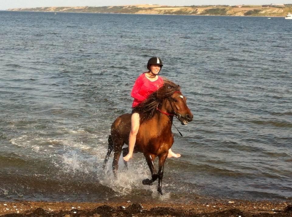 Islænder Magnus billede 13