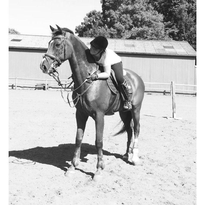 Holstener Le Poul billede 20