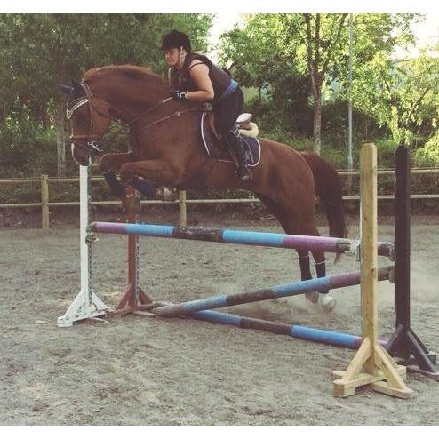 Holstener Le Poul billede 23