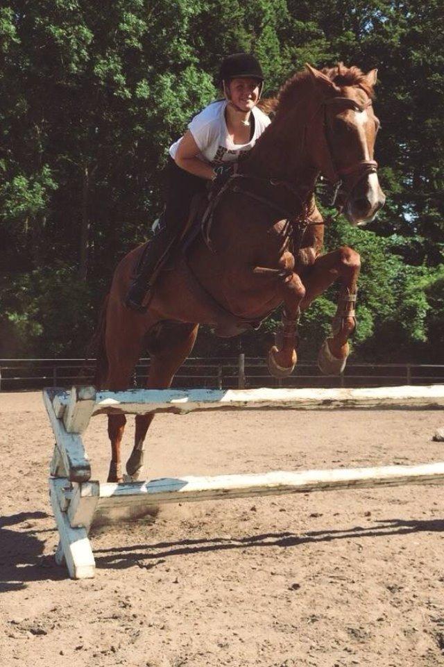 Holstener Le Poul billede 21