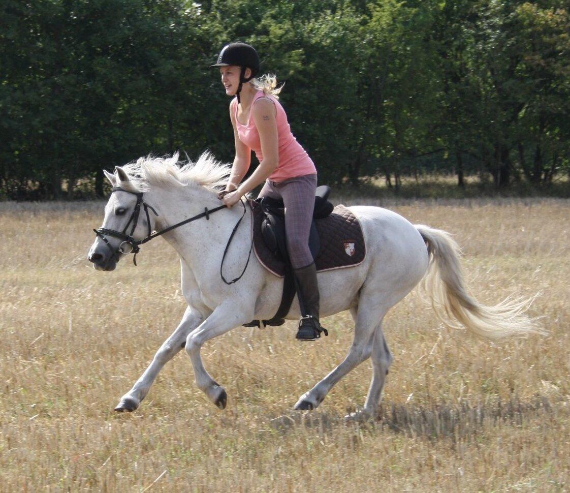 Anden særlig race Mille billede 18