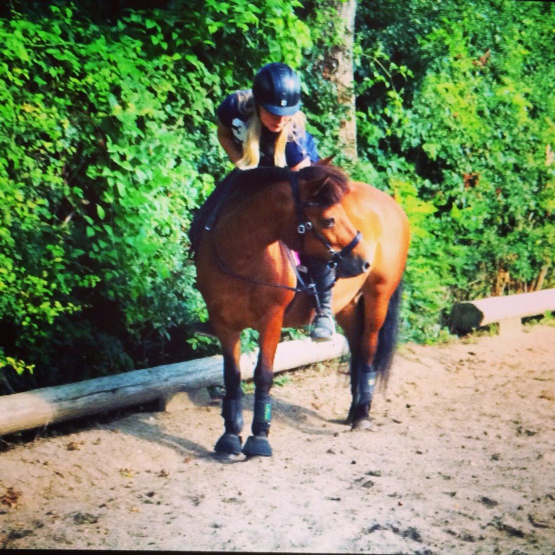 Anden særlig race Freja billede 1