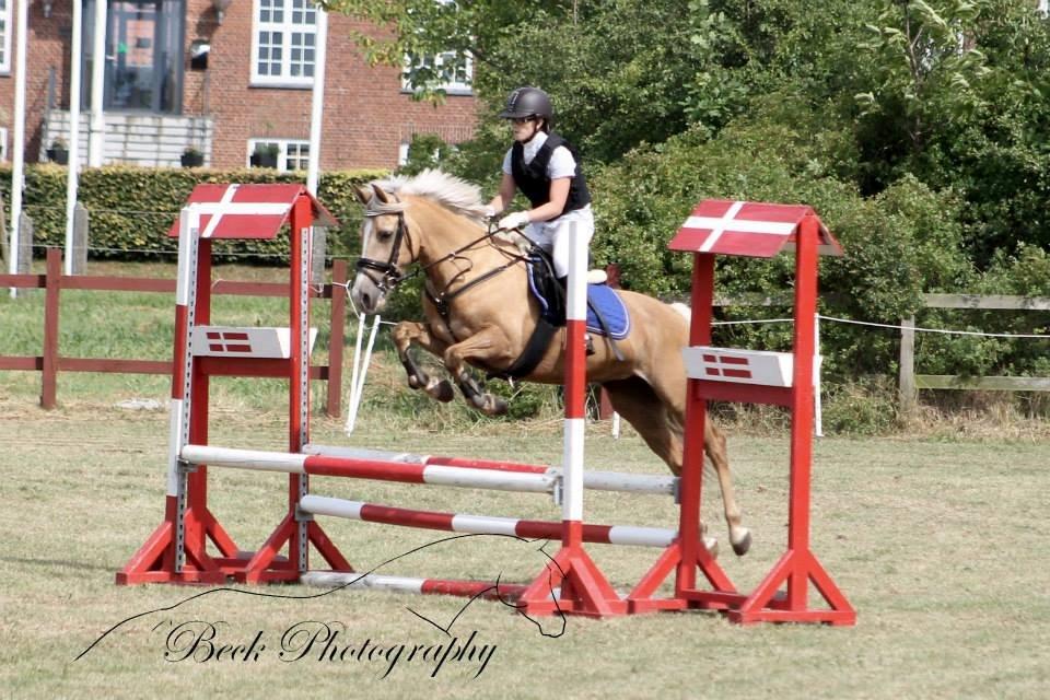 Anden særlig race Fenja - Foto: Beck Photography billede 19