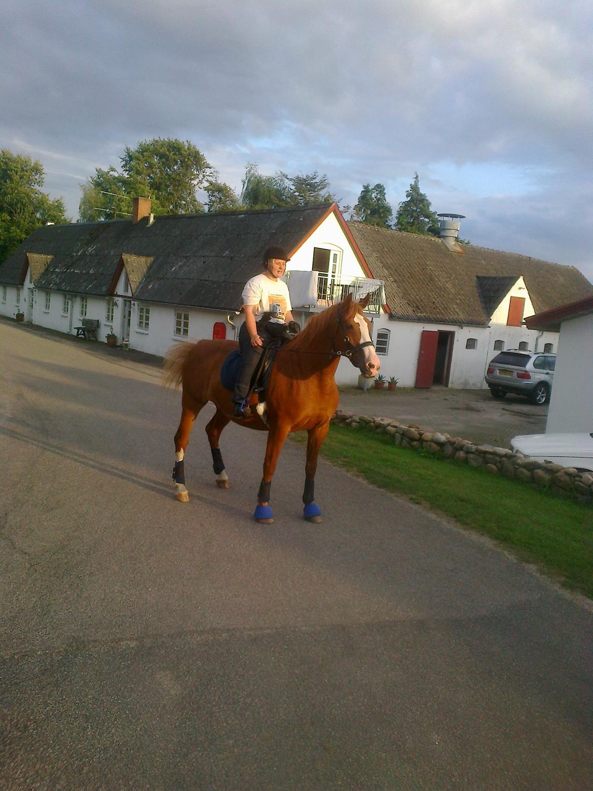 Frederiksborg Locky Classic billede 18