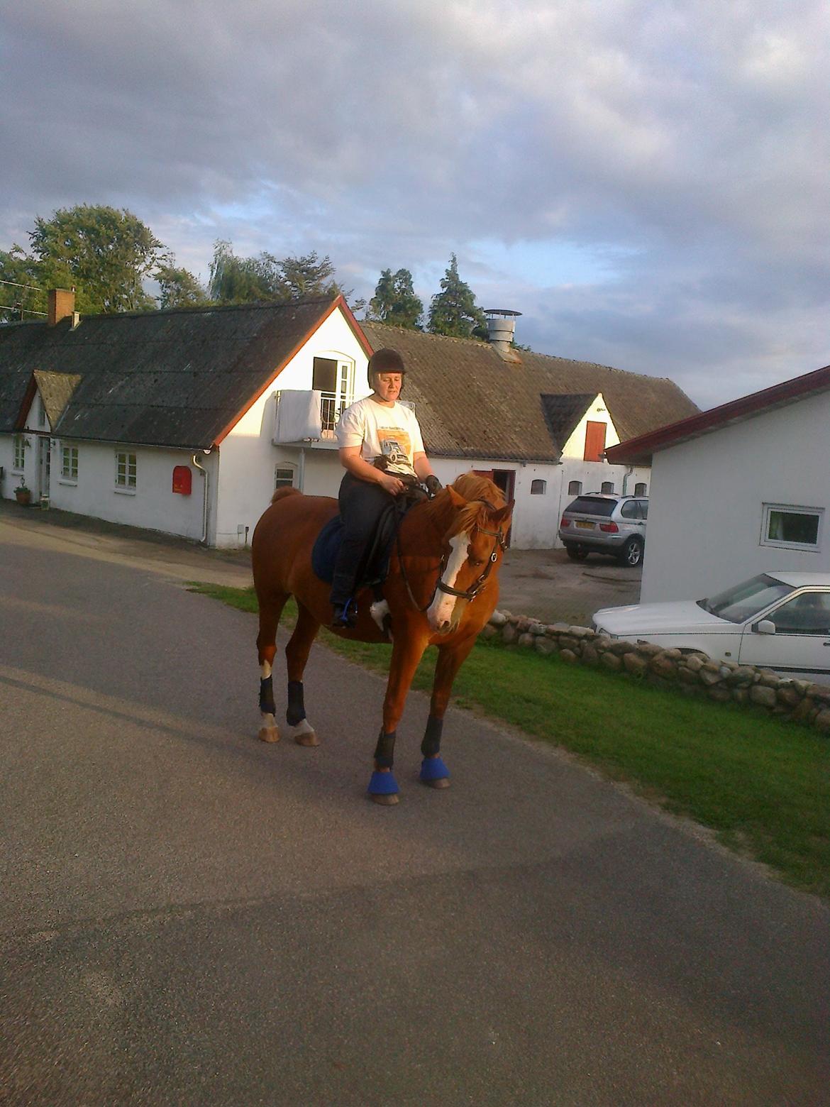 Frederiksborg Locky Classic billede 20