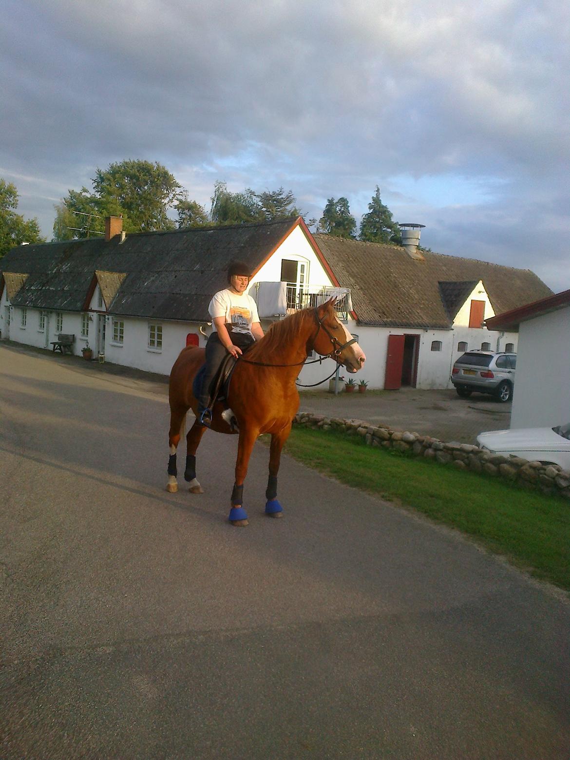 Frederiksborg Locky Classic billede 19