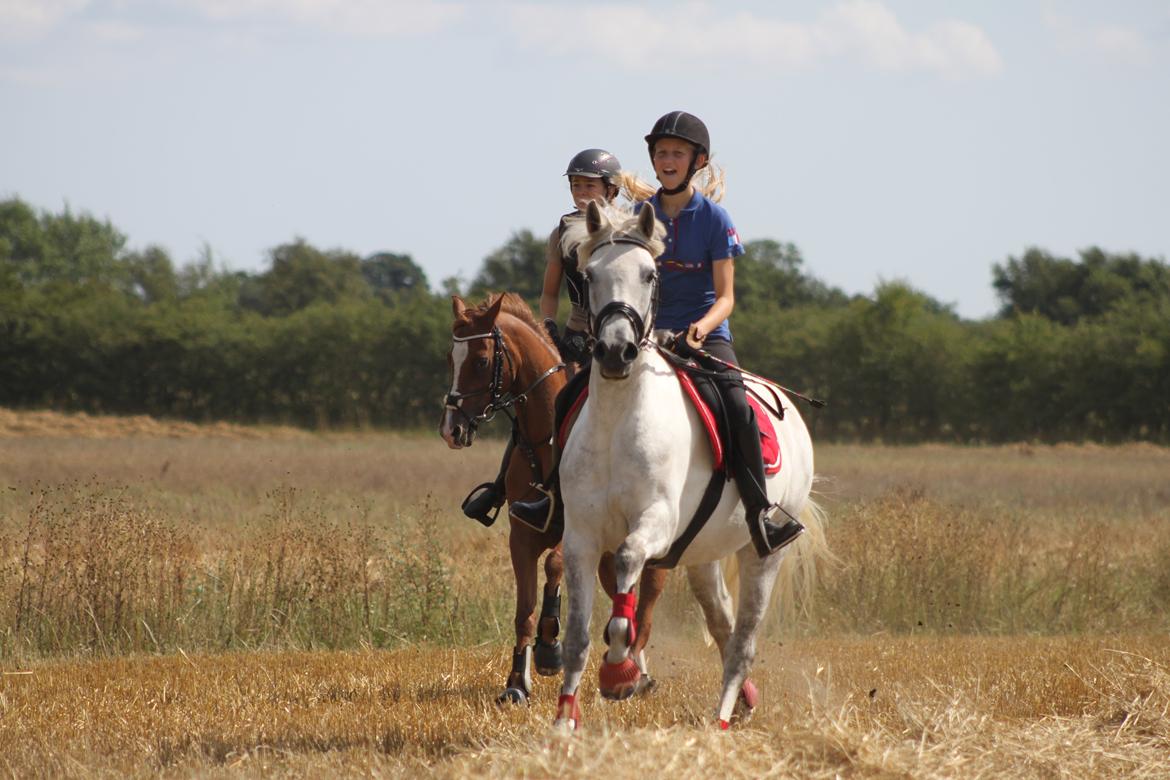 Connemara Drummond Laura billede 5