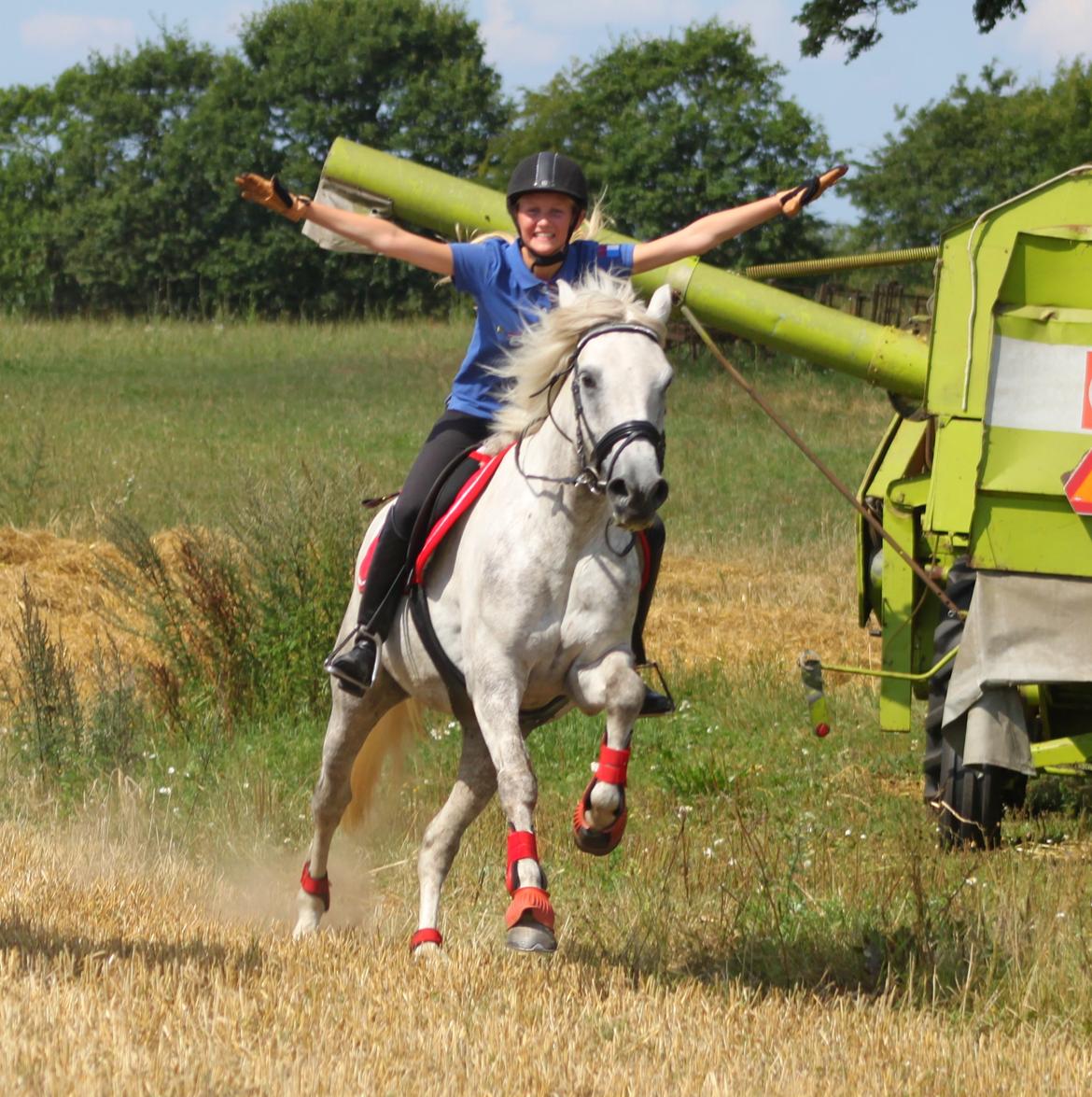Connemara Drummond Laura - dejligste<3 billede 18