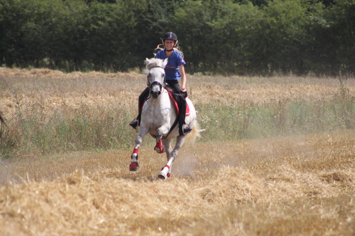 Connemara Drummond Laura billede 19