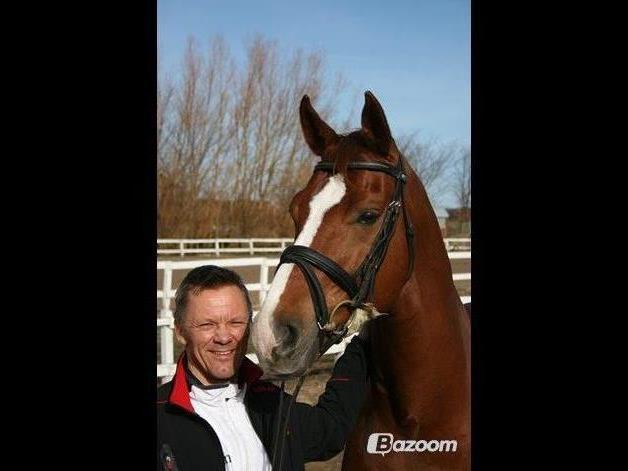 Hannoveraner Welsche Welt billede 3