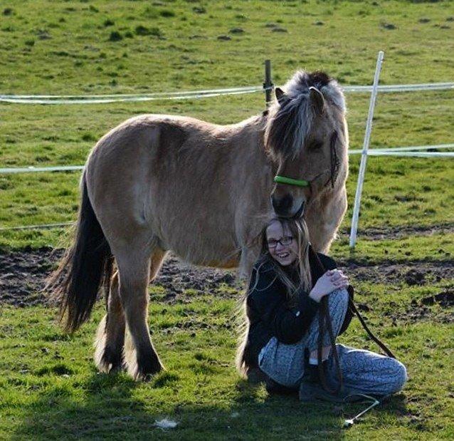 Anden særlig race Melvin - Dejlige Pony <3 billede 15