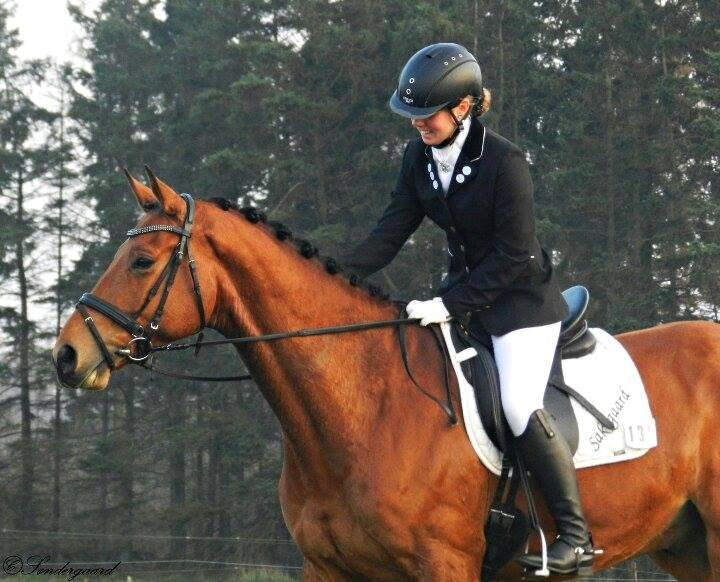 Dansk Varmblod Saksgaards Light Foot #Klubmester# billede 17