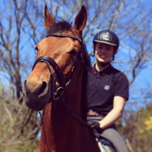 Dansk Varmblod Saksgaards Light Foot #Klubmester# billede 3