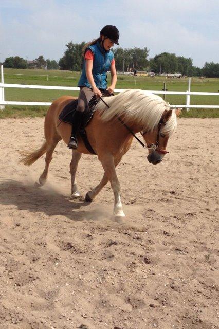 Haflinger Evita Cypress - Da jeg prøvede hende!;) billede 1