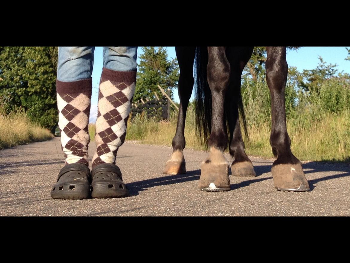 Anden særlig race • Silver • Min Soulmate<3• Himmelpony billede 20