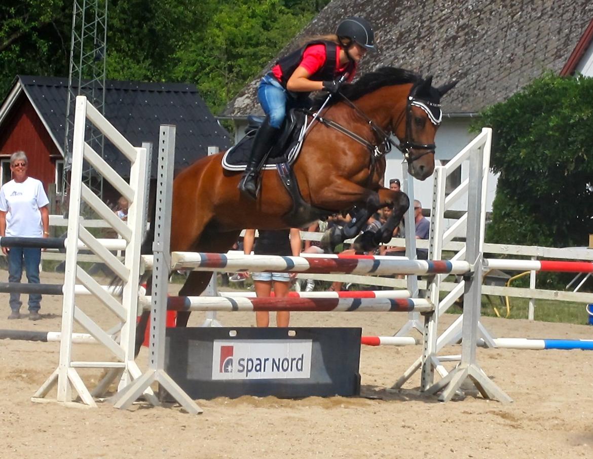 DSP Nikita - Kursus ved Tina  billede 20