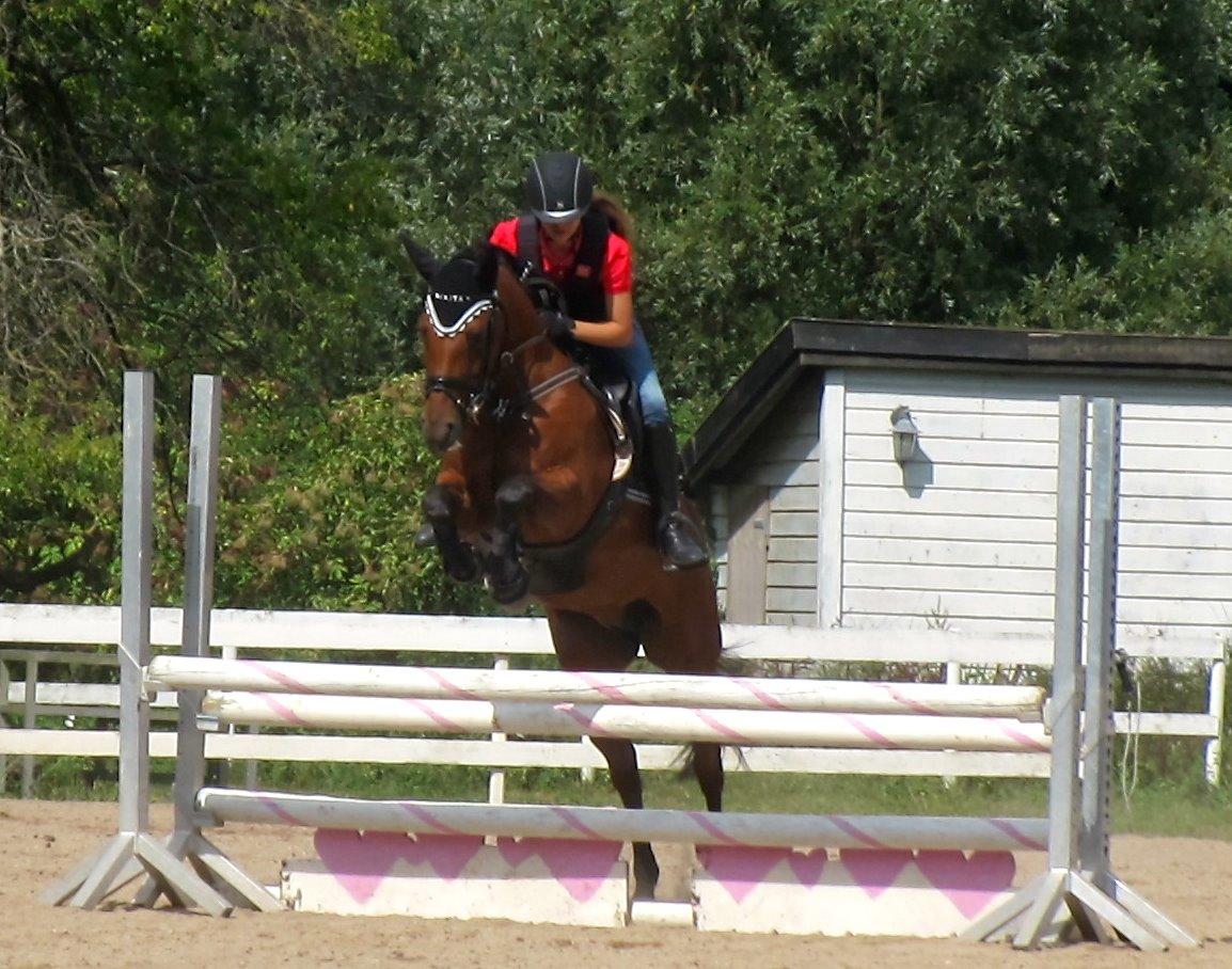 DSP Nikita billede 25