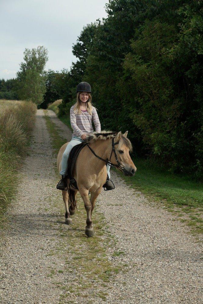 Anden særlig race Charlie billede 4