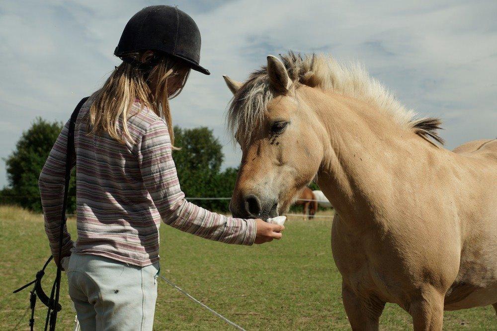 Anden særlig race Charlie billede 3