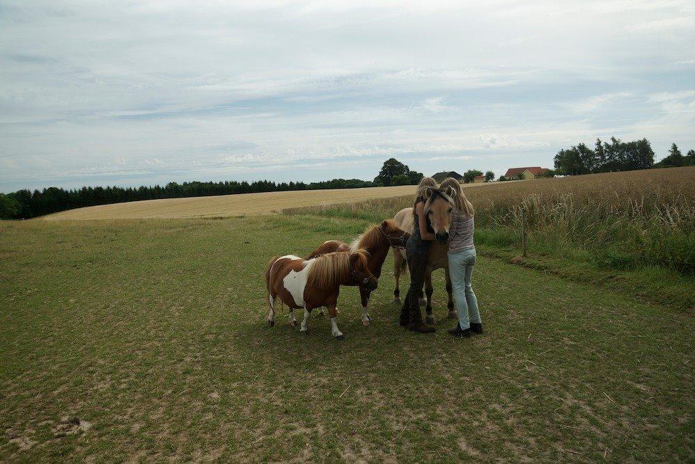 Anden særlig race Charlie billede 28