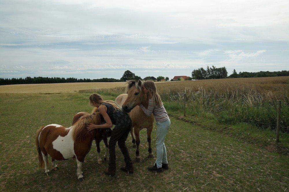 Anden særlig race Charlie billede 20