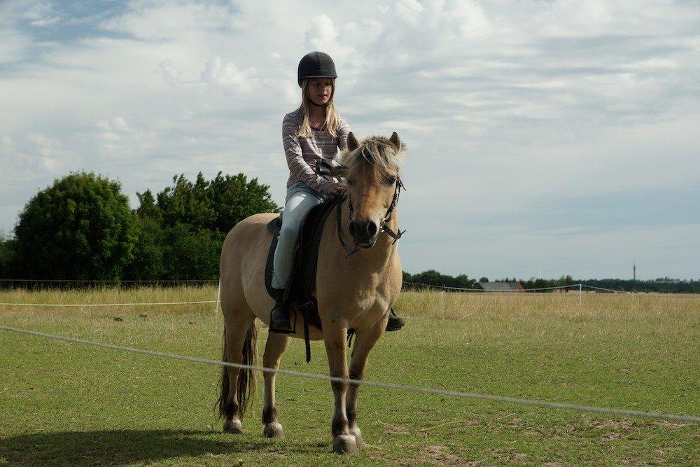 Anden særlig race Charlie billede 27