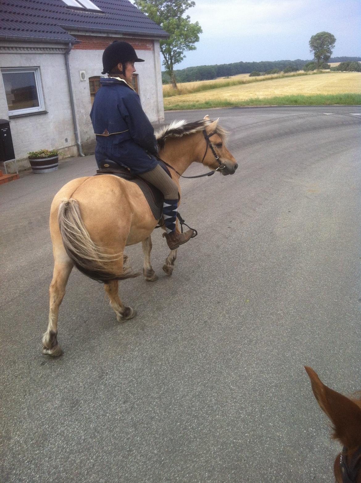 Anden særlig race Charlie billede 29