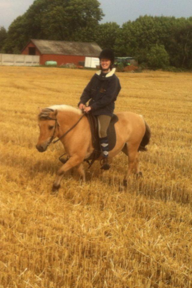 Anden særlig race Charlie billede 31