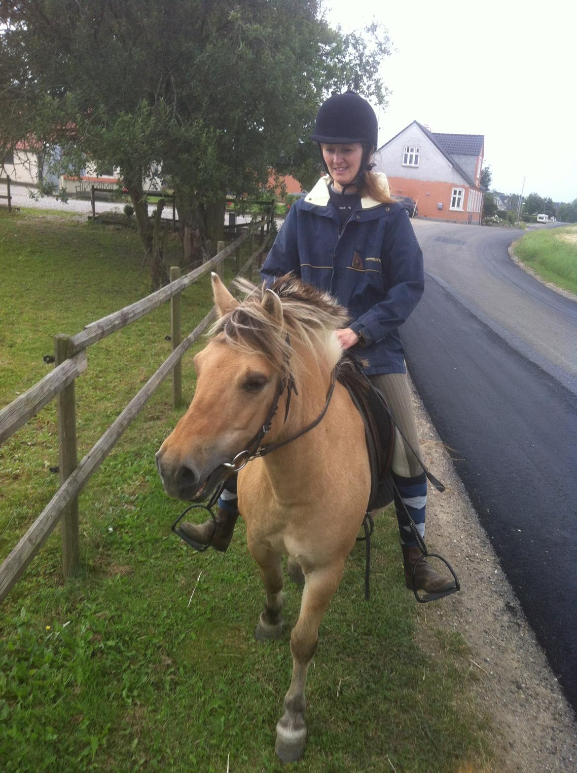 Anden særlig race Charlie billede 30
