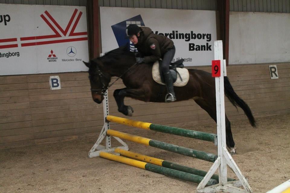 Anden særlig race Tani billede 16