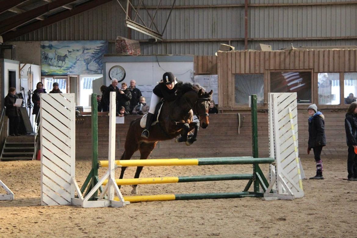 Anden særlig race Tani billede 5