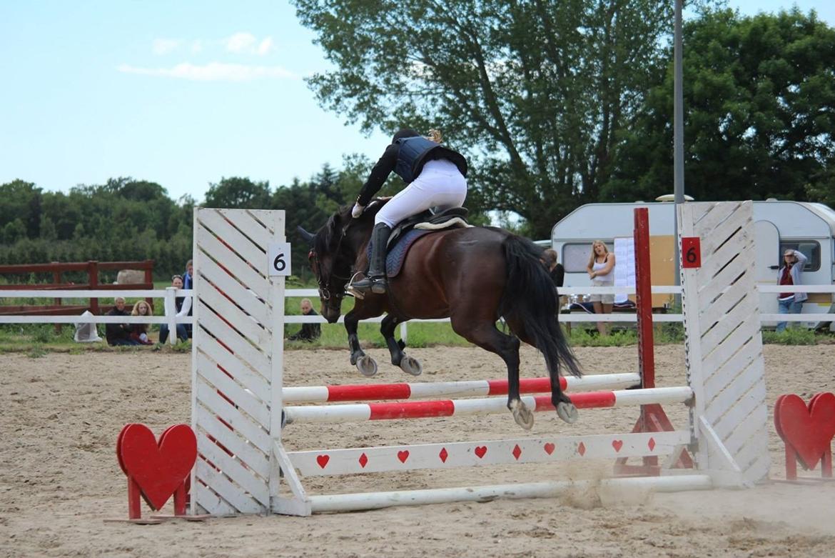 Anden særlig race Tani billede 14