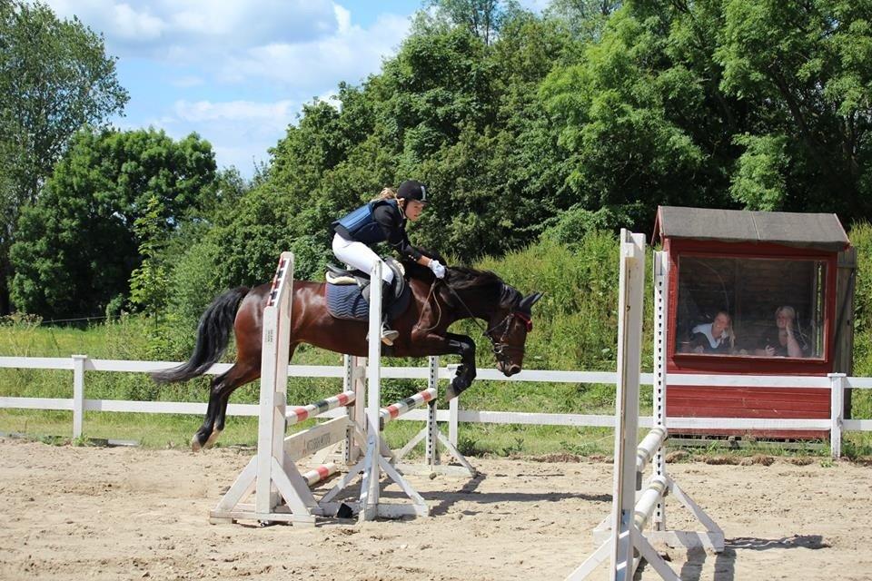 Anden særlig race Tani billede 2