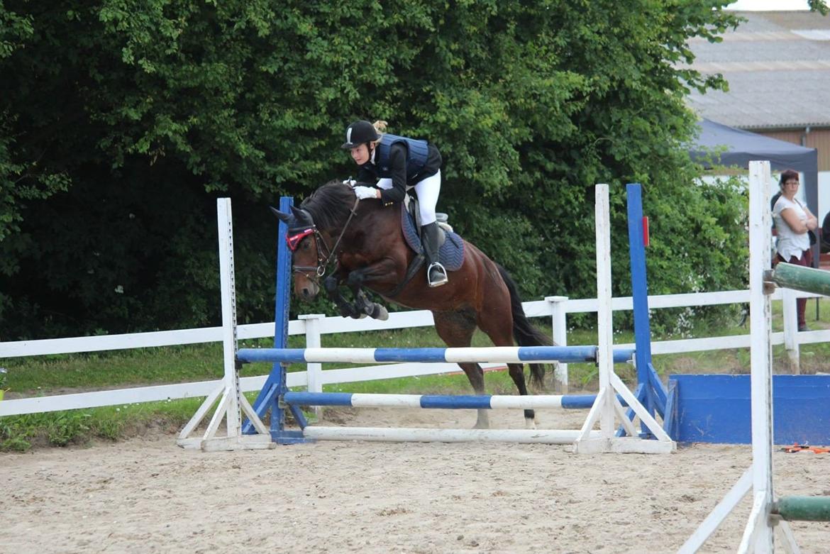 Anden særlig race Tani billede 13