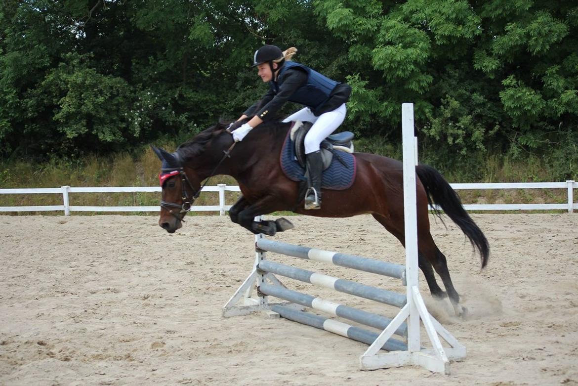 Anden særlig race Tani billede 15