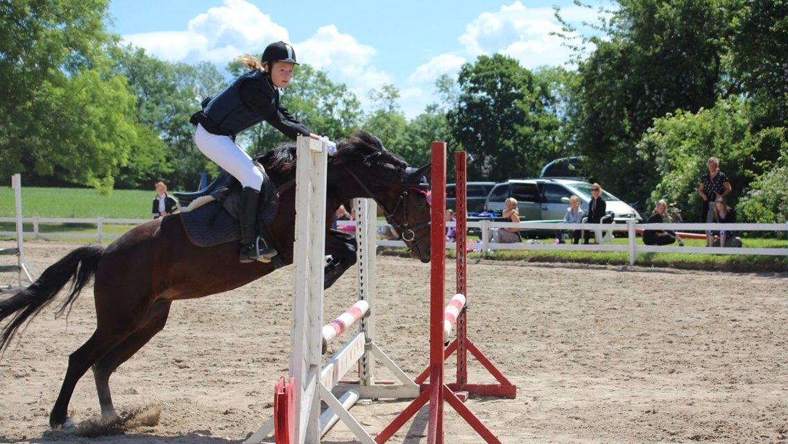 Anden særlig race Tani billede 1