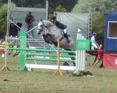 Dansk Varmblod In' Takt - Bebsen!  billede 20