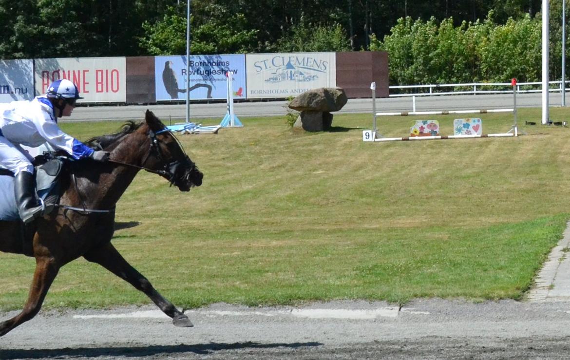 Traver Izmir (Stjernetraveren) - Fuld fart for at nå de andre, da vi endte ud i en dum galop, lige 200 meter før opløbet billede 19