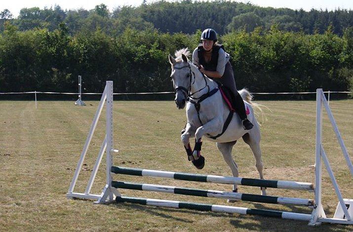 Anden særlig race Just My Luck (Lucky) - Sommer 2014 billede 30